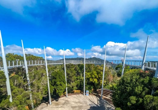 Penang Hill Habitat